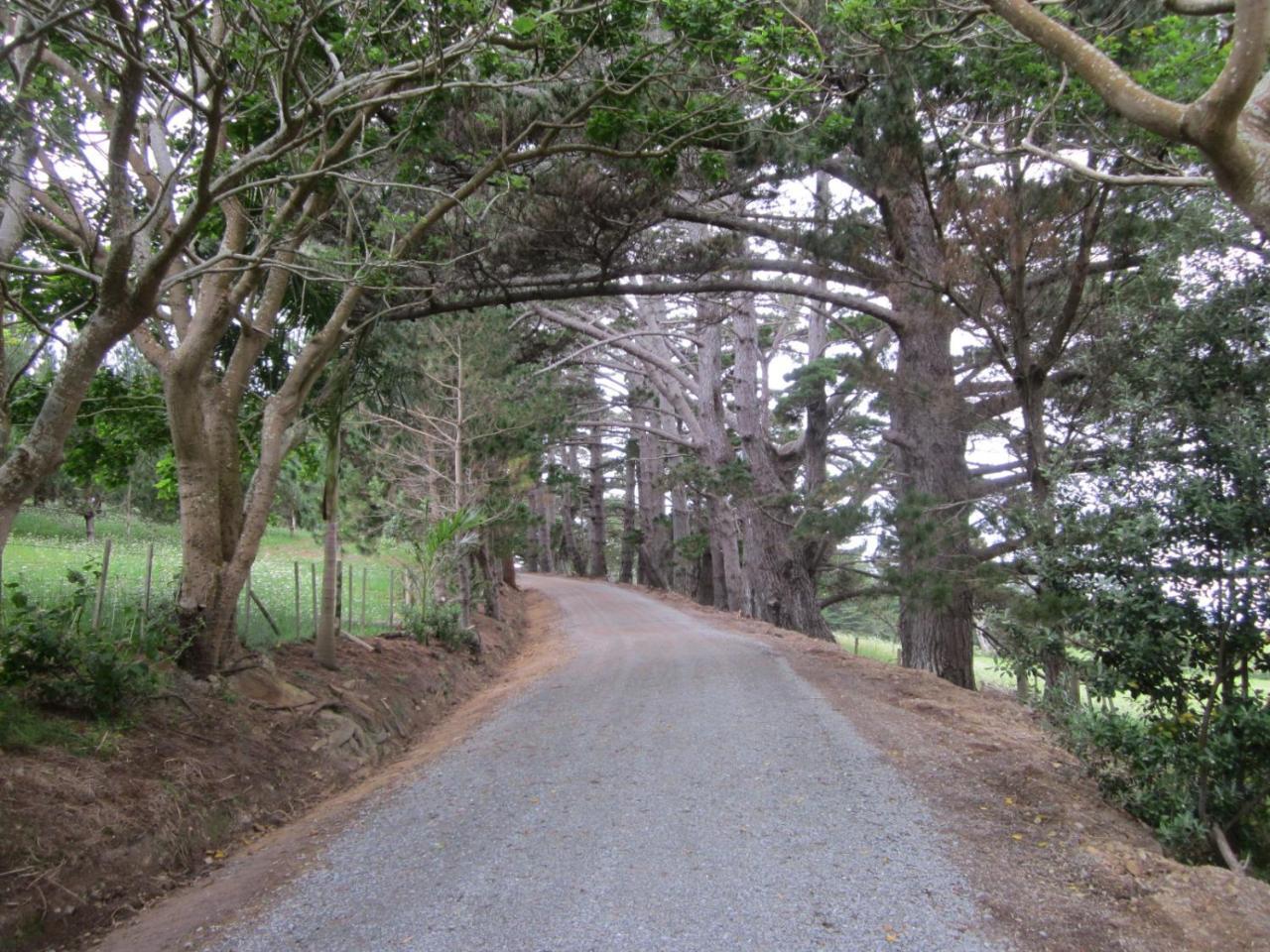 ホテルKoati Views Lake Ohia エクステリア 写真